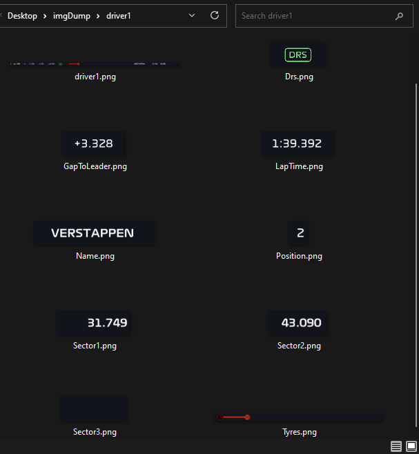 "Verstappen folder"