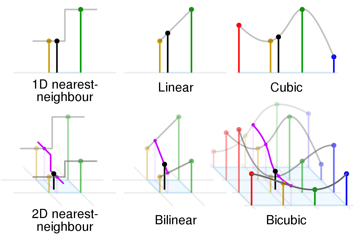 "Exemple des différents types d'interpolation"